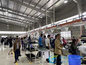 雅迪成立電動車行業首家獨資海外工廠 技術服務雙輪驅動，中國制造走向世界